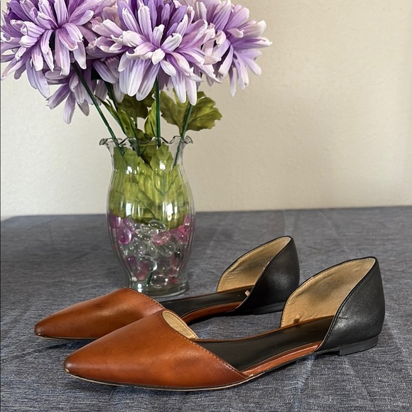 Elegant Brown and Black Women's Flats - Picture 1 of 6